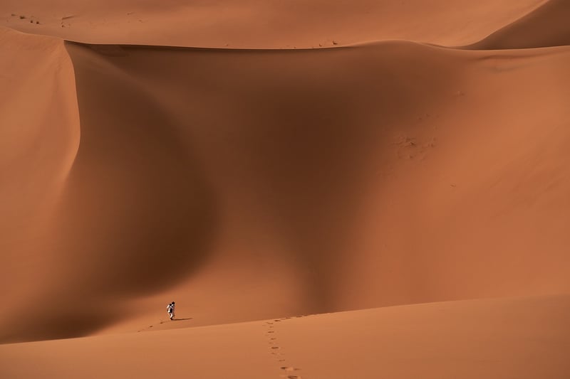 Desert Expedition