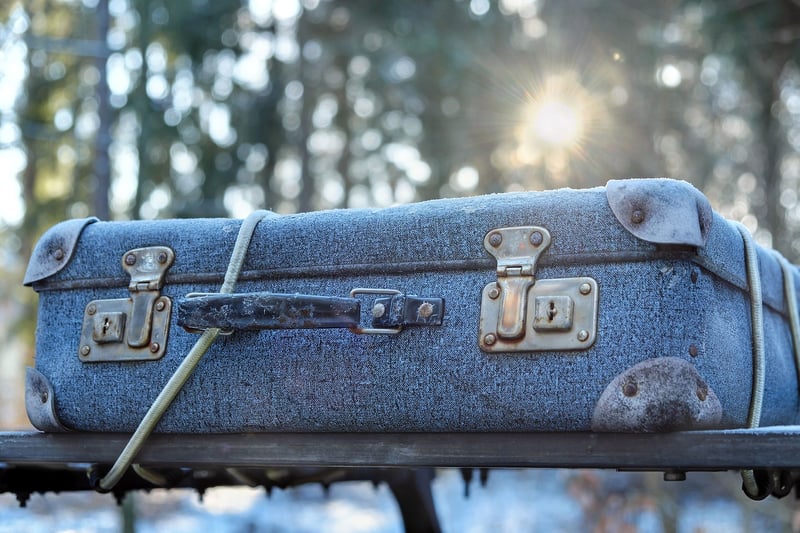 Luggage for Travel